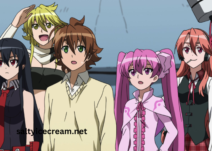 Akame GA Kill Where to Watch