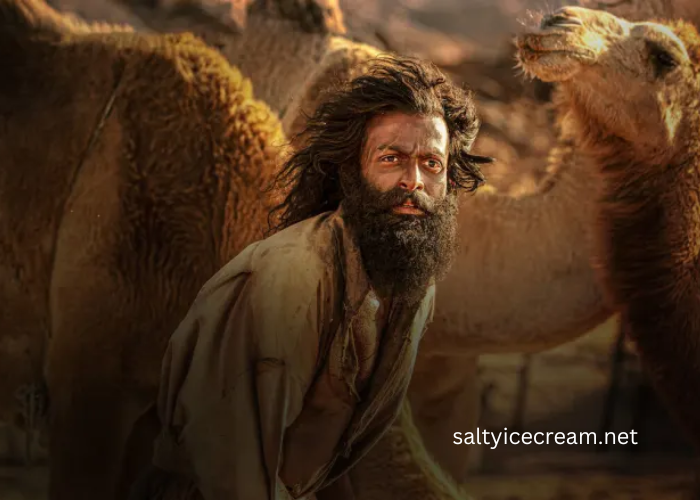 Top Malayalam Movies You Must See