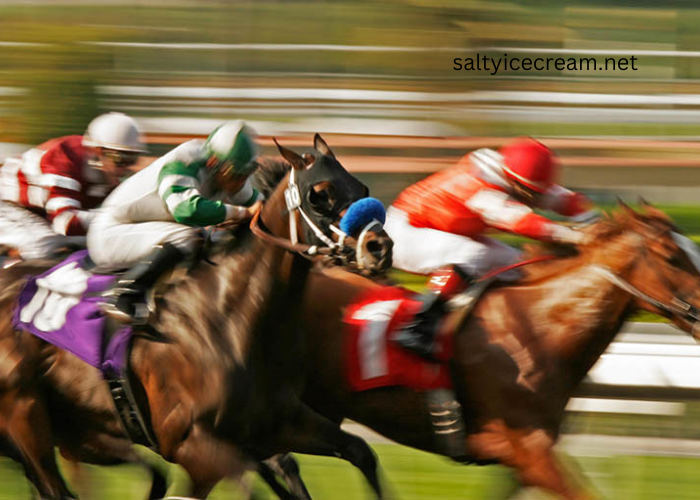 Why Turf Racing is the Ultimate Social Event