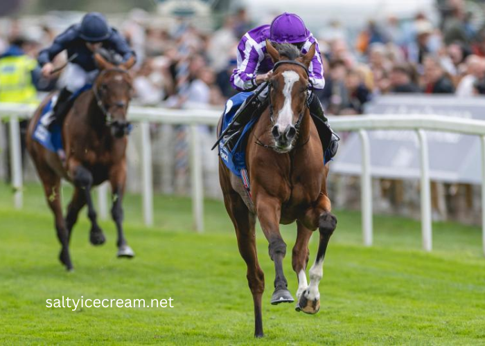 A Guide to International Turf Racing Circuits