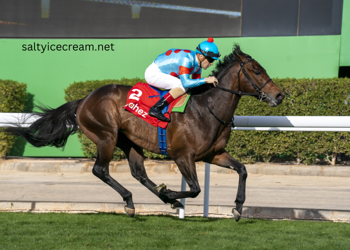 The Rise of Japanese Breeding in Global Turf Racing