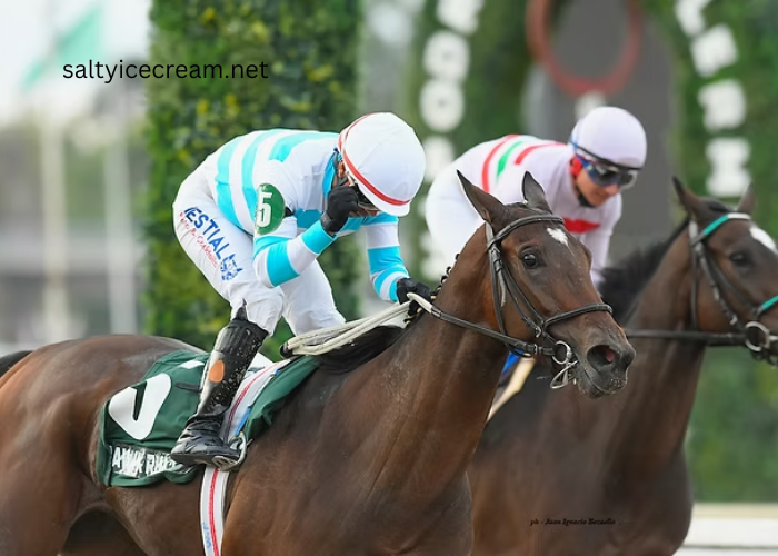 The Growing Popularity of Turf Racing in South America